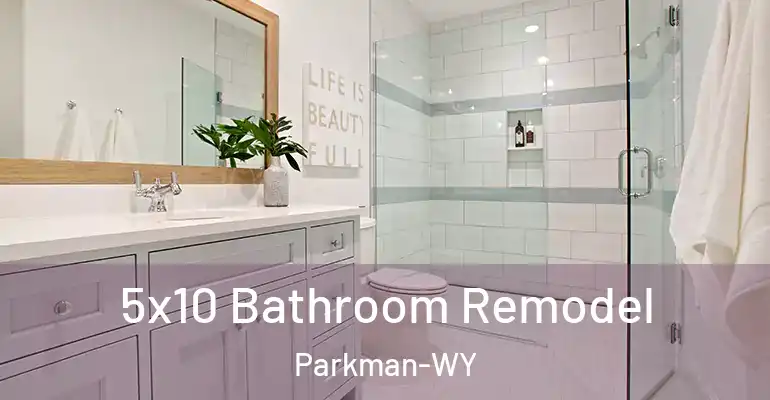 inner Bathroom imggen 5x10 Bathroom Remodel Parkman-WY