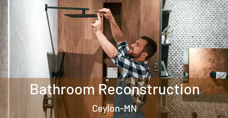 inner Bathroom imggen Bathroom Reconstruction Ceylon-MN