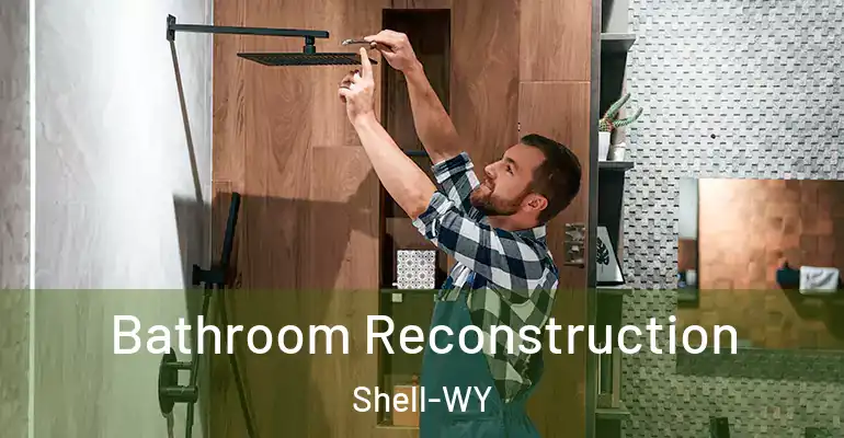 inner Bathroom imggen Bathroom Reconstruction Shell-WY