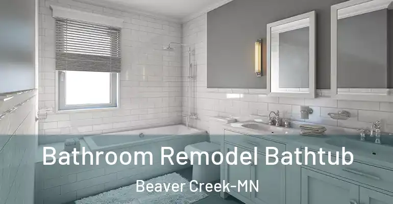 inner Bathroom imggen Bathroom Remodel Bathtub Beaver Creek-MN