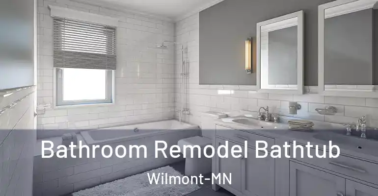 inner Bathroom imggen Bathroom Remodel Bathtub Wilmont-MN