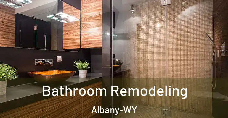 inner Bathroom imggen Bathroom Remodeling Albany-WY