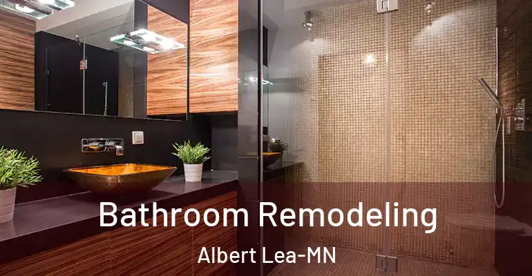 inner Bathroom imggen Bathroom Remodeling Albert Lea-MN