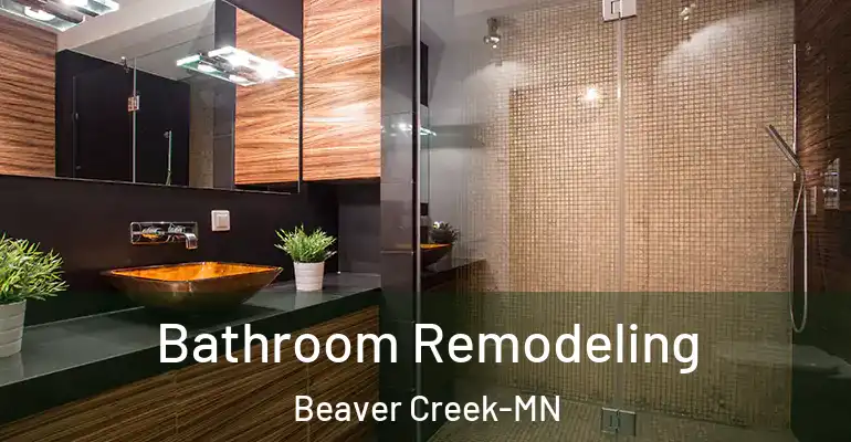 inner Bathroom imggen Bathroom Remodeling Beaver Creek-MN