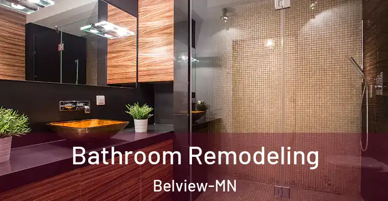 inner Bathroom imggen Bathroom Remodeling Belview-MN