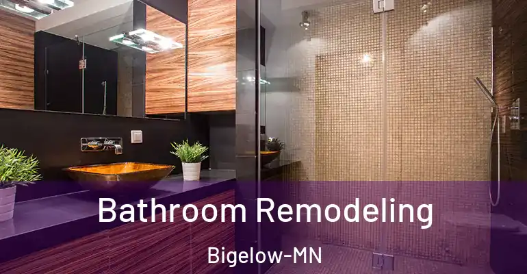 inner Bathroom imggen Bathroom Remodeling Bigelow-MN