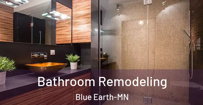 inner Bathroom imggen Bathroom Remodeling Blue Earth-MN