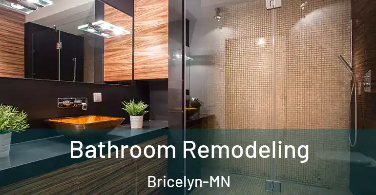 inner Bathroom imggen Bathroom Remodeling Bricelyn-MN