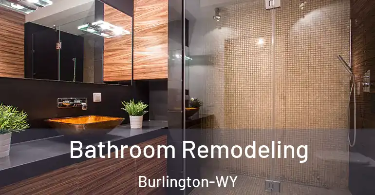 inner Bathroom imggen Bathroom Remodeling Burlington-WY
