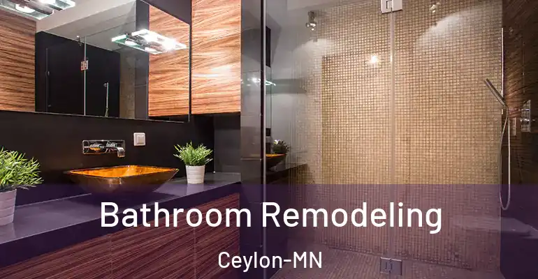 inner Bathroom imggen Bathroom Remodeling Ceylon-MN