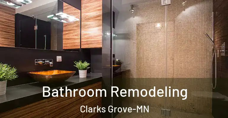 inner Bathroom imggen Bathroom Remodeling Clarks Grove-MN