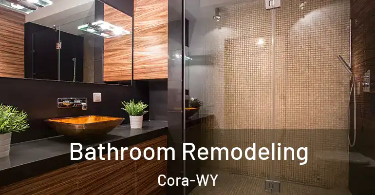 inner Bathroom imggen Bathroom Remodeling Cora-WY