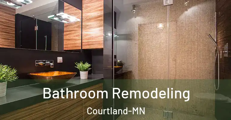 inner Bathroom imggen Bathroom Remodeling Courtland-MN