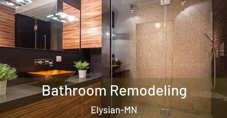 inner Bathroom imggen Bathroom Remodeling Elysian-MN