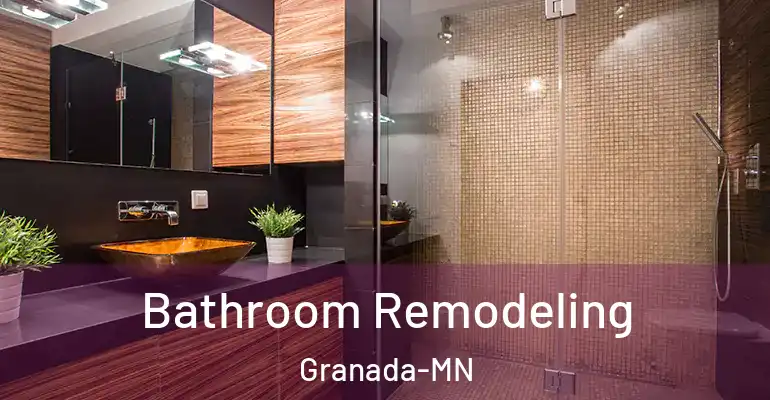 inner Bathroom imggen Bathroom Remodeling Granada-MN
