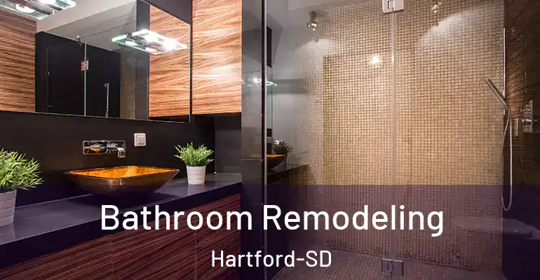 inner Bathroom imggen Bathroom Remodeling Hartford-SD