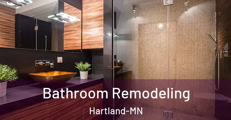 inner Bathroom imggen Bathroom Remodeling Hartland-MN