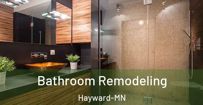 inner Bathroom imggen Bathroom Remodeling Hayward-MN