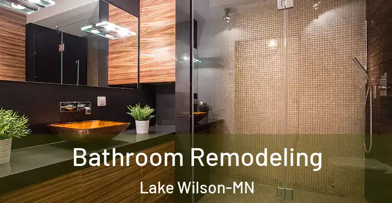 inner Bathroom imggen Bathroom Remodeling Lake Wilson-MN