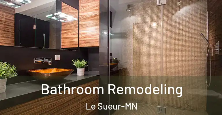 inner Bathroom imggen Bathroom Remodeling Le Sueur-MN