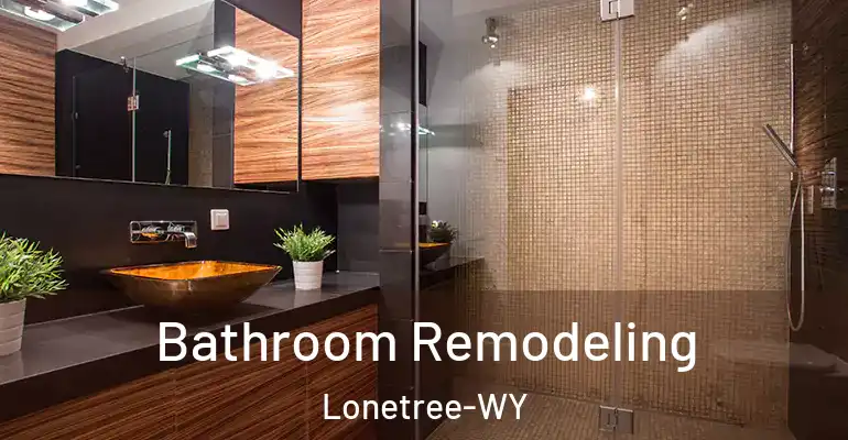 inner Bathroom imggen Bathroom Remodeling Lonetree-WY