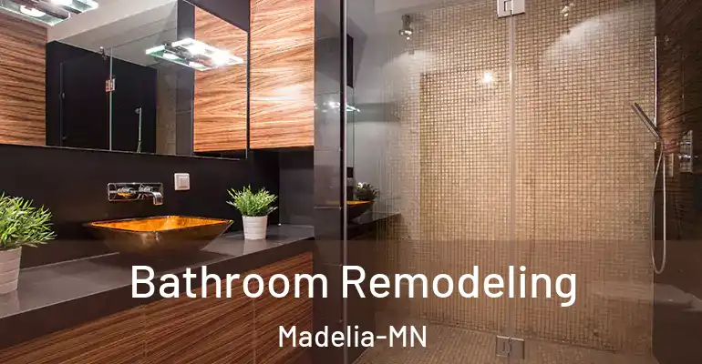 inner Bathroom imggen Bathroom Remodeling Madelia-MN