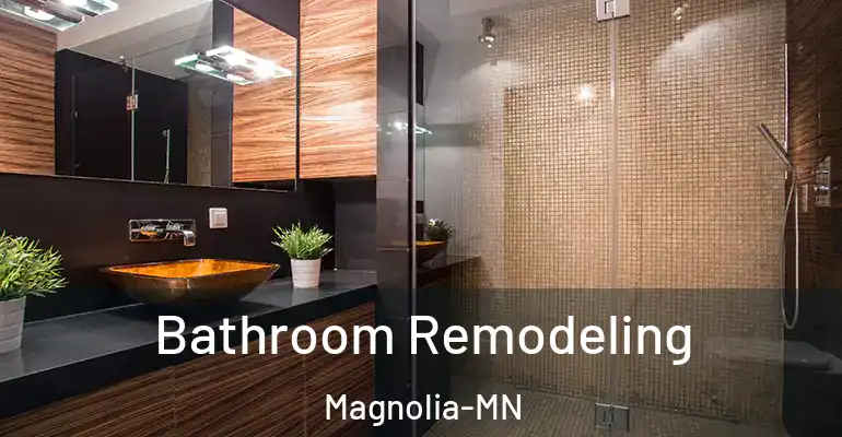 inner Bathroom imggen Bathroom Remodeling Magnolia-MN
