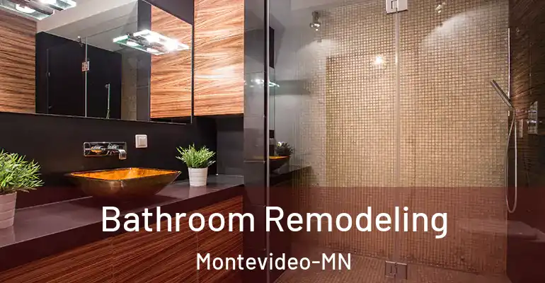 inner Bathroom imggen Bathroom Remodeling Montevideo-MN