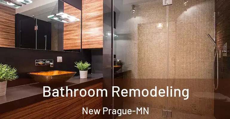 inner Bathroom imggen Bathroom Remodeling New Prague-MN