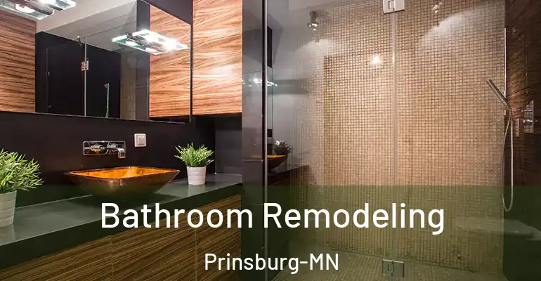inner Bathroom imggen Bathroom Remodeling Prinsburg-MN