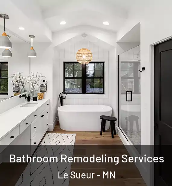  Bathroom Remodeling Services Le Sueur - MN