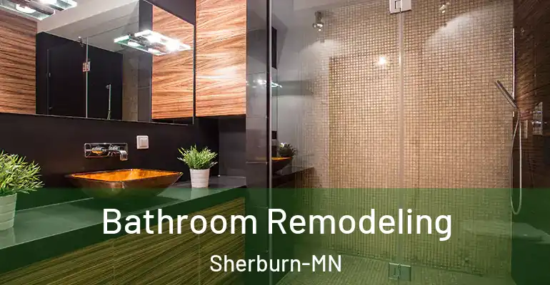 inner Bathroom imggen Bathroom Remodeling Sherburn-MN