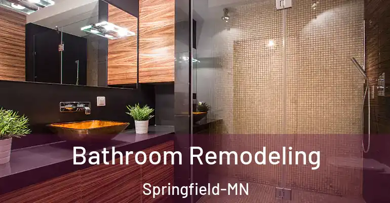 inner Bathroom imggen Bathroom Remodeling Springfield-MN