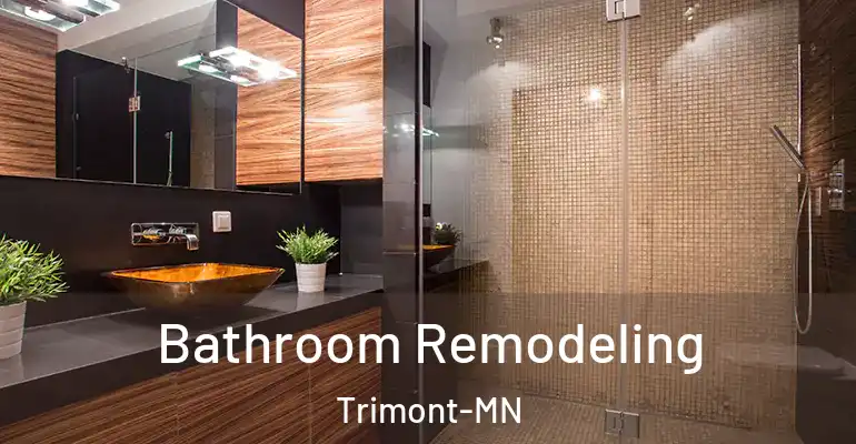 inner Bathroom imggen Bathroom Remodeling Trimont-MN