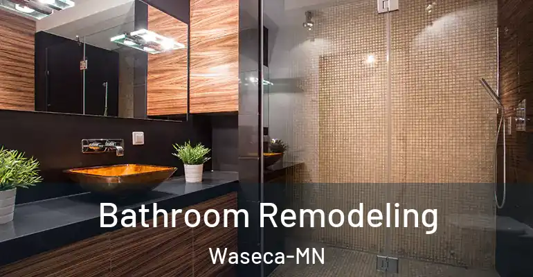 inner Bathroom imggen Bathroom Remodeling Waseca-MN