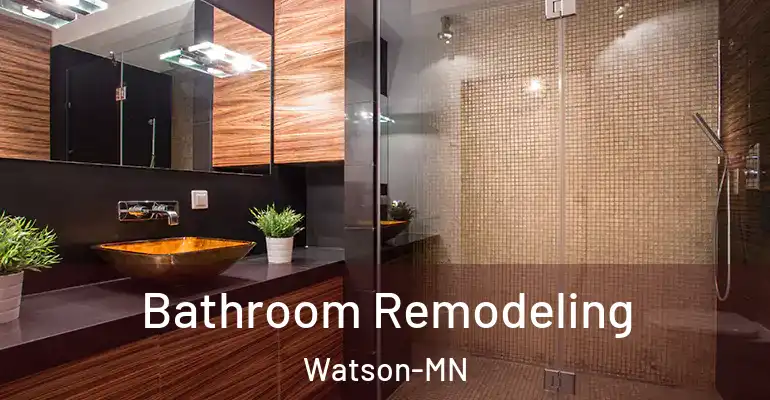 inner Bathroom imggen Bathroom Remodeling Watson-MN