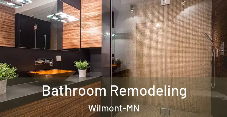 inner Bathroom imggen Bathroom Remodeling Wilmont-MN