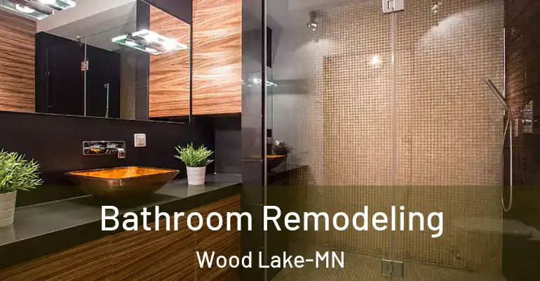 inner Bathroom imggen Bathroom Remodeling Wood Lake-MN