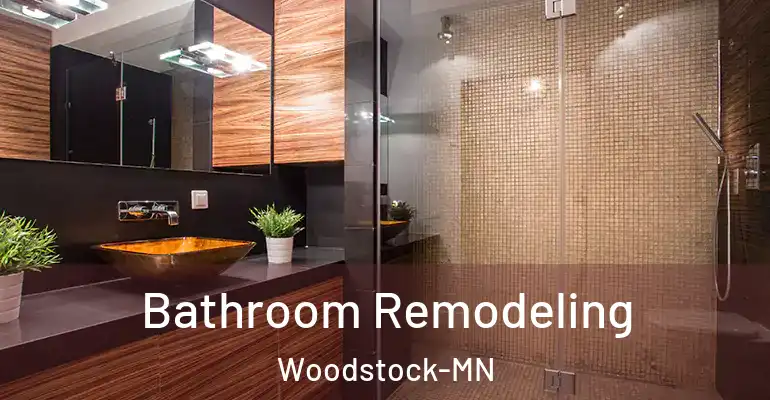 inner Bathroom imggen Bathroom Remodeling Woodstock-MN