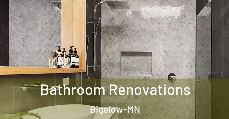 inner Bathroom imggen Bathroom Renovations Bigelow-MN