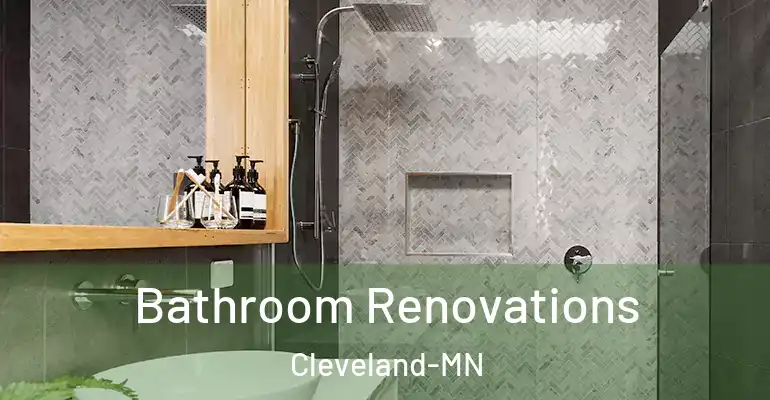 inner Bathroom imggen Bathroom Renovations Cleveland-MN