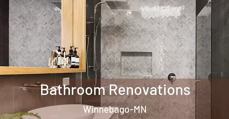 inner Bathroom imggen Bathroom Renovations Winnebago-MN