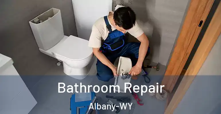 inner Bathroom imggen Bathroom Repair Albany-WY