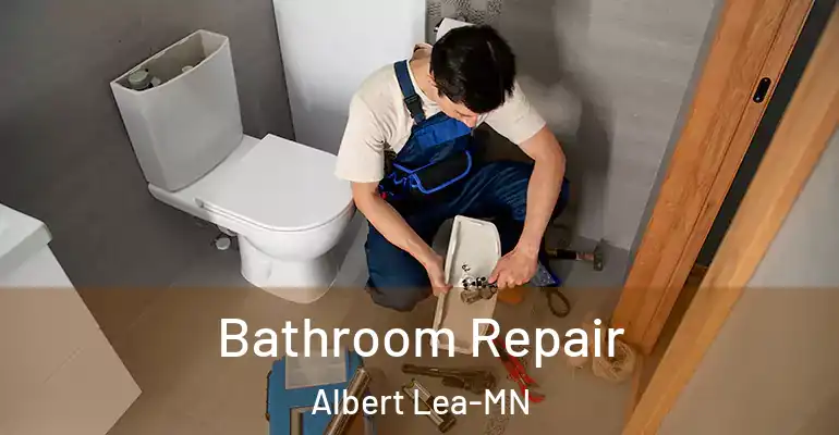 inner Bathroom imggen Bathroom Repair Albert Lea-MN