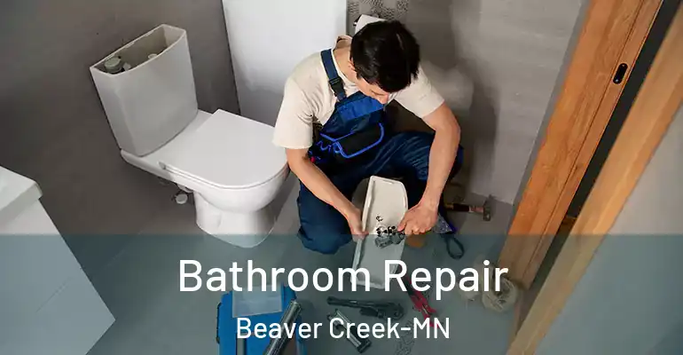 inner Bathroom imggen Bathroom Repair Beaver Creek-MN