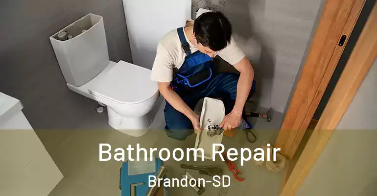 inner Bathroom imggen Bathroom Repair Brandon-SD