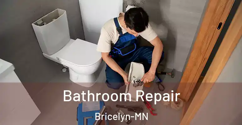 inner Bathroom imggen Bathroom Repair Bricelyn-MN