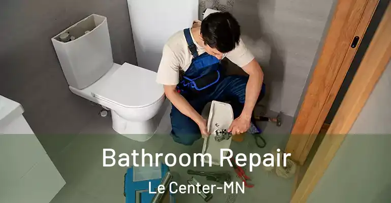 inner Bathroom imggen Bathroom Repair Le Center-MN