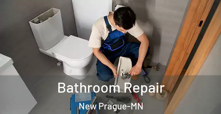 inner Bathroom imggen Bathroom Repair New Prague-MN