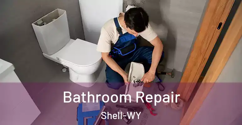 inner Bathroom imggen Bathroom Repair Shell-WY
